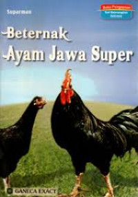 Beternak Ayam Jawa Super