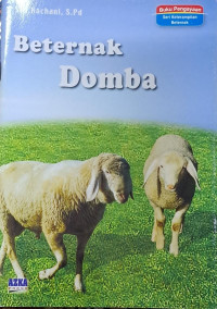 Beternak Domba