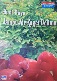 Budi Daya Jambu Air Kaget Delima