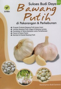 Sukses Budi Daya Bawang Putih di Pekarangan dan Perkebunan
